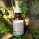 moringa_oil