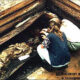 princess_ukok_melted_ice