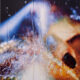 Marilyn-Minter-Burning-Bush