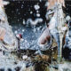 Marilyn-Minter_Heavy_Metal