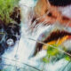 Marilyn-Minter_Smear