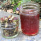 red_besuty_tea