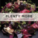plenty_more